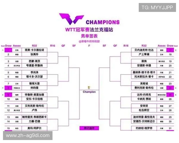 德甲球队分类图表大全及各队特点解析