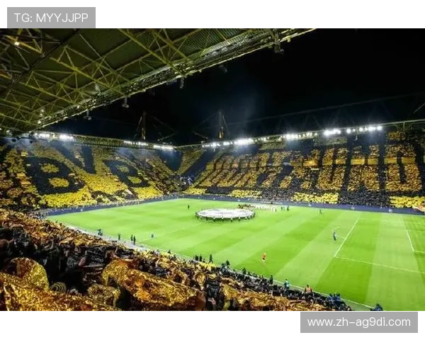 德甲主场球队：每支球队的主场表现与氛围